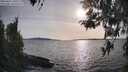./images/koeye/fitz-hugh/20260417/fitz-hugh20260417_181002M.jpg