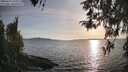 ./images/koeye/fitz-hugh/20260417/fitz-hugh20260417_190001M.jpg