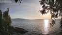 ./images/koeye/fitz-hugh/20260417/fitz-hugh20260417_190501M.jpg