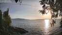 ./images/koeye/fitz-hugh/20260417/fitz-hugh20260417_191001M.jpg