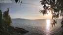 ./images/koeye/fitz-hugh/20260417/fitz-hugh20260417_191501M.jpg