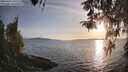 ./images/koeye/fitz-hugh/20260417/fitz-hugh20260417_192001M.jpg