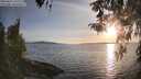 ./images/koeye/fitz-hugh/20260417/fitz-hugh20260417_192501M.jpg