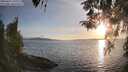 ./images/koeye/fitz-hugh/20260417/fitz-hugh20260417_193001M.jpg