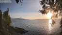 ./images/koeye/fitz-hugh/20260417/fitz-hugh20260417_194001M.jpg