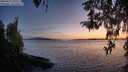./images/koeye/fitz-hugh/20260417/fitz-hugh20260417_205501M.jpg