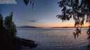 ./images/koeye/fitz-hugh/20260417/fitz-hugh20260417_210501M.jpg