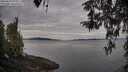 ./images/koeye/fitz-hugh/20260418/fitz-hugh20260418_075502M.jpg