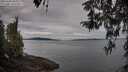 ./images/koeye/fitz-hugh/20260418/fitz-hugh20260418_084001M.jpg