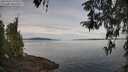 ./images/koeye/fitz-hugh/20260418/fitz-hugh20260418_092001M.jpg