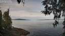 ./images/koeye/fitz-hugh/20260418/fitz-hugh20260418_093001M.jpg