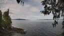 ./images/koeye/fitz-hugh/20260418/fitz-hugh20260418_110501M.jpg