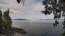 ./images/koeye/fitz-hugh/20260418/fitz-hugh20260418_111002M.jpg