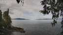 ./images/koeye/fitz-hugh/20260418/fitz-hugh20260418_112002M.jpg