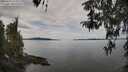 ./images/koeye/fitz-hugh/20260418/fitz-hugh20260418_115002M.jpg