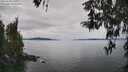 ./images/koeye/fitz-hugh/20260418/fitz-hugh20260418_131001M.jpg