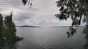 ./images/koeye/fitz-hugh/20260418/fitz-hugh20260418_135501M.jpg