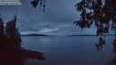 ./images/koeye/fitz-hugh/20260419/fitz-hugh20260419_055501M.jpg