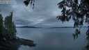 ./images/koeye/fitz-hugh/20260419/fitz-hugh20260419_061501M.jpg