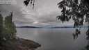 ./images/koeye/fitz-hugh/20260419/fitz-hugh20260419_074502M.jpg