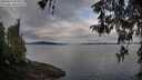 ./images/koeye/fitz-hugh/20260419/fitz-hugh20260419_085001M.jpg