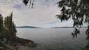 ./images/koeye/fitz-hugh/20260419/fitz-hugh20260419_115002M.jpg