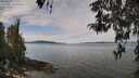 ./images/koeye/fitz-hugh/20260419/fitz-hugh20260419_120502M.jpg