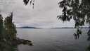 ./images/koeye/fitz-hugh/20260419/fitz-hugh20260419_131502M.jpg