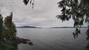 ./images/koeye/fitz-hugh/20260419/fitz-hugh20260419_132002M.jpg