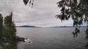 ./images/koeye/fitz-hugh/20260419/fitz-hugh20260419_135501M.jpg