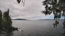 ./images/koeye/fitz-hugh/20260419/fitz-hugh20260419_140501M.jpg