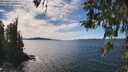 ./images/koeye/fitz-hugh/20260419/fitz-hugh20260419_143501M.jpg