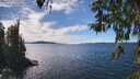 ./images/koeye/fitz-hugh/20260419/fitz-hugh20260419_144001M.jpg