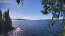 ./images/koeye/fitz-hugh/20260419/fitz-hugh20260419_151001M.jpg