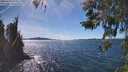 ./images/koeye/fitz-hugh/20260419/fitz-hugh20260419_152501M.jpg