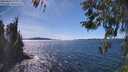 ./images/koeye/fitz-hugh/20260419/fitz-hugh20260419_153001M.jpg