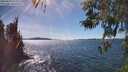 ./images/koeye/fitz-hugh/20260419/fitz-hugh20260419_154001M.jpg