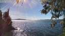./images/koeye/fitz-hugh/20260419/fitz-hugh20260419_154501M.jpg