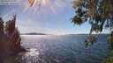 ./images/koeye/fitz-hugh/20260419/fitz-hugh20260419_155002M.jpg