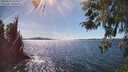 ./images/koeye/fitz-hugh/20260419/fitz-hugh20260419_155501M.jpg