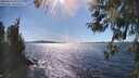 ./images/koeye/fitz-hugh/20260419/fitz-hugh20260419_162501M.jpg