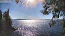 ./images/koeye/fitz-hugh/20260419/fitz-hugh20260419_164002M.jpg