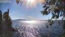 ./images/koeye/fitz-hugh/20260419/fitz-hugh20260419_164501M.jpg