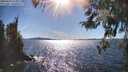 ./images/koeye/fitz-hugh/20260419/fitz-hugh20260419_165001M.jpg