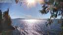 ./images/koeye/fitz-hugh/20260419/fitz-hugh20260419_165502M.jpg