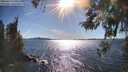 ./images/koeye/fitz-hugh/20260419/fitz-hugh20260419_171001M.jpg