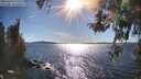 ./images/koeye/fitz-hugh/20260419/fitz-hugh20260419_171501M.jpg