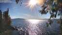 ./images/koeye/fitz-hugh/20260419/fitz-hugh20260419_172001M.jpg