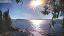 ./images/koeye/fitz-hugh/20260419/fitz-hugh20260419_173501M.jpg