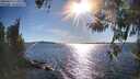 ./images/koeye/fitz-hugh/20260419/fitz-hugh20260419_174001M.jpg